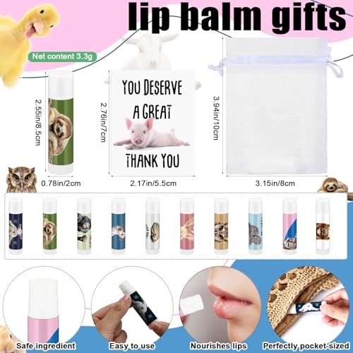 40 Sets Valentines Employee Appreciation Gifts Bulk for Coworkers Thank You Staff Gift Inspirational Animal Pun Lip Balm Note Cards Organza Bag for Office Party Favor Team Volunteer Nurse