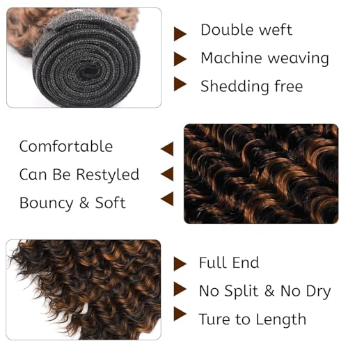 Deep Wave 10 Inch Brazilian Virgin Hair Bundle P1B/30 Highlights