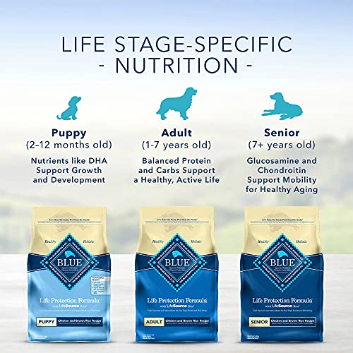 Blue Buffalo Life Protection Formula Natural Adult Healthy Weight Dry Dog Food, Chicken and Brown Rice 6-lb