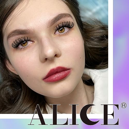 ALICE Lash Clusters DIY Lash Extensions 240PCS 14-20MM Individual Lashes Cluster Lashes Natural 40D Eyelash Extensions Faux Mink Individual Eyelashes