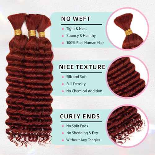 24 Inch Deep Wave Human Braiding Hair for Boho Braids ? 120g 3 Bundles/Pack Copper 350# 100% Unprocessed 12A Brazilian Virgin Human Hair Bulk, No Weft, Wet & Wavy Curly Extensions