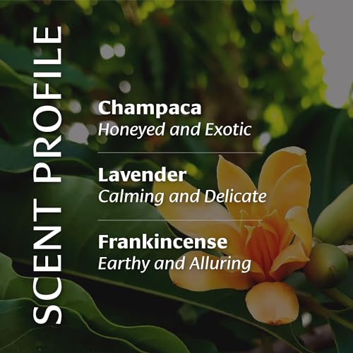 Banyan Botanicals Body Oil ? Lightweight & Non-Greasy Body Oil ? Ayurvedic Skin Care with Organic Jojoba Oil & Herbs for Soft, Smooth Skin ? 4 oz ? Non-GMO, Cruelty Free, Paraben Free Massage Oil