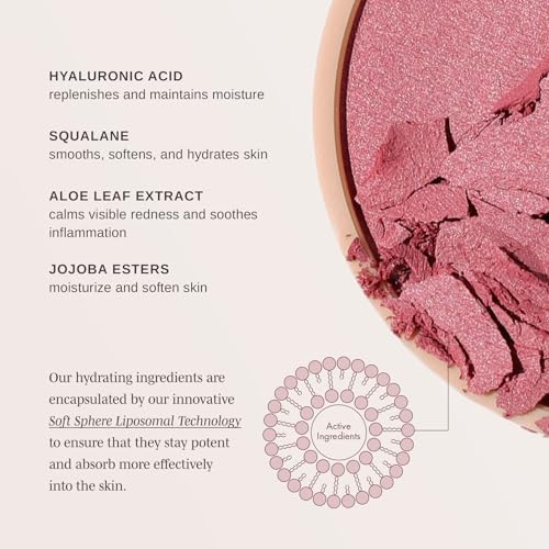 Wander Beauty Hydrating Powder Blush - Berry Busy