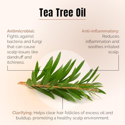 REVIVV Exfoliating Scalp Scrub Shampoo, Himalayan Salt Scrub to Cleanse Scalp, Exfoliator with Rosemary & Tea Tree Oil to Remove Buildup, Reduce Flaking and Promote Healthier, Fuller Hair, 6.7oz