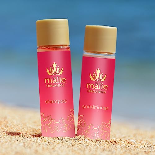 Plumeria Conditioner Mini