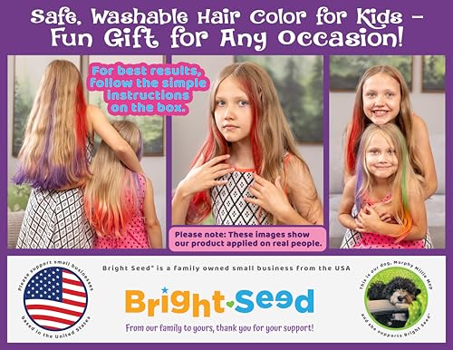 Bright Seed Hair Chalk Comb Set - 6 Washable Temporary Colors