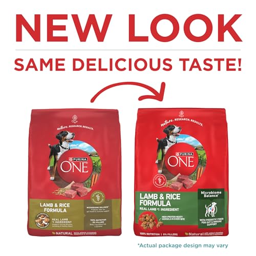 Purina ONE Natural Dry Dog Food, Lamb & Rice Formula - 31.1 lb