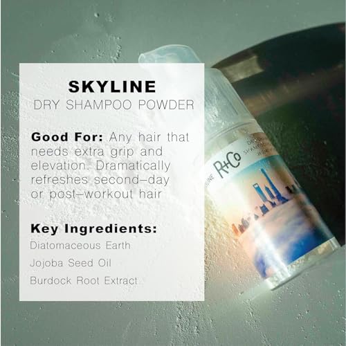 R+Co SKYLINE Dry Shampoo Powder ? Oil-Absorbing & Volumizing Hair Powder, Refreshes Hair Between Washes, All Hair Types