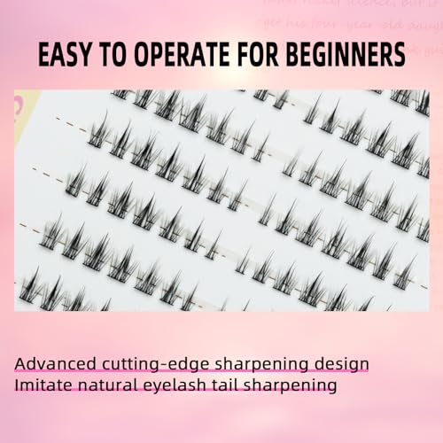 10 Pairs Cluster Lash Extensions DIY Wispy Natural False Eyelashes