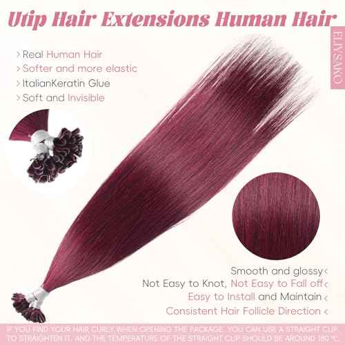 Hair U Tip Hair Extensions K Tip Human Hair Real Human Hair 100% Remy Hair #99J Burgundy 16inch 40G Ombre With Highlights Seamless U-Tip Real Human Hair Natural Look & Salon Quality