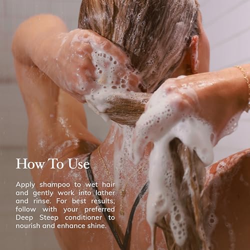 Deep Steep Argan Oil Hydrating Volume Shampoo, 17 oz ? Volumizing Shampoo with Argan Oil, Aloe, Marula Oil & Rice Protein ? Sulfate-Free, Vegan, Clean Beauty Hair Care, Full Hydration