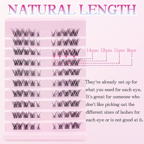 Wispy Cat Eye Lash Clusters - C Curl 9-14mm