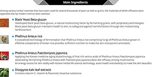 Korean BB Cream Skin Tone Corrector - Lightweight Coverage