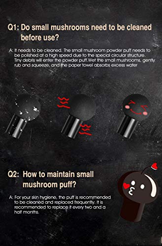 Air Cushion BB Cream with Mushroom Sponge – SPF50+ Concealer