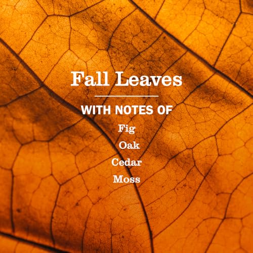 Mrs. MEYER'S CLEAN DAY Hand Soap, Fall Leaves Scent, 12.5 Fl Oz Bottle - 3 Pack