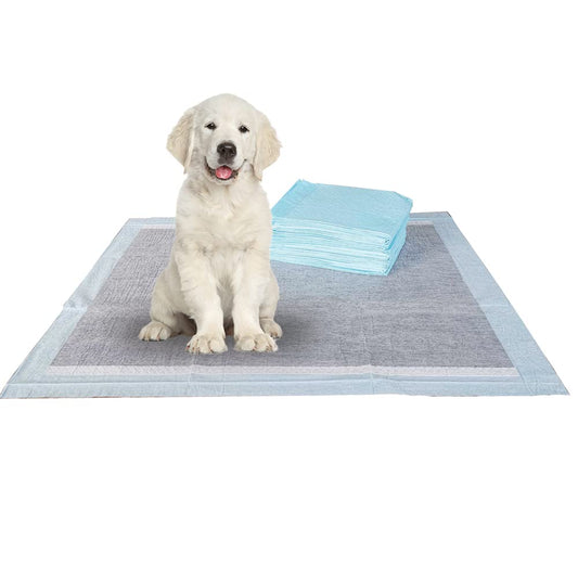 BV Puppy Pads Leak-Proof 600 Count 22"x 22" | Pee Pads for Dogs 6-Layer- Charcoal Dog Pee Pads- Dog Pads 600 Pack- Potty Pads for Dogs- Puppy Pee Pads, Pee Pad Training Pads for Dogs, Pet Pee Pads