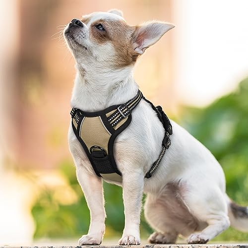 rabbitgoo Dog Harness, No-Pull Pet Harness with 2 Leash Clips, Adjustable Soft Padded Dog Vest, Reflective No-Choke Pet Oxford Vest with Easy Control Handle for Small Dogs, Wild Lime,S