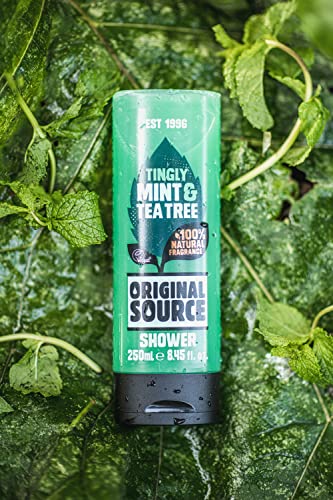 Original Source Tea Tree & Mint Shower Gel 250ml - (Pack of 6)