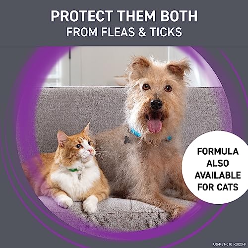 Frontline Plus Flea and Tick Treatment for Large Dogs Up to 45 to 88 lbs. 8 Treatments