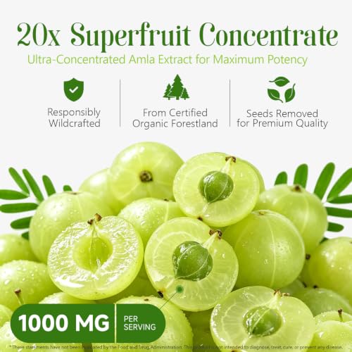 JYVGNLXS 1 Bottle - 90 Vegan High-Potency Amla Capsules for Cellular Support & Wellness