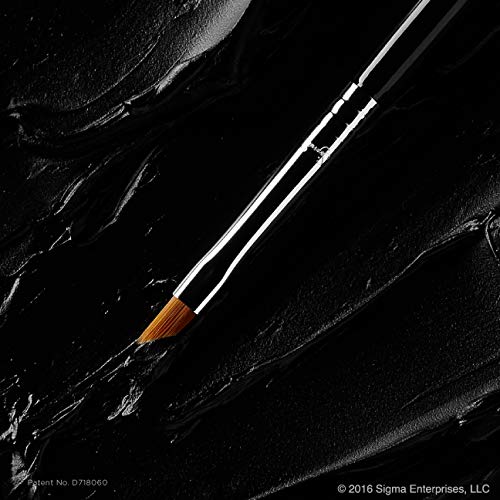 Sigma Beauty Professional E06 Eye Liner Brush ? Fine Angled Eyeliner Brush with Pointed Tip for Meticulously Applying Gel and Liquid Eyeliner, For Cat Eyeliner & Winged Liner (1 Brush)