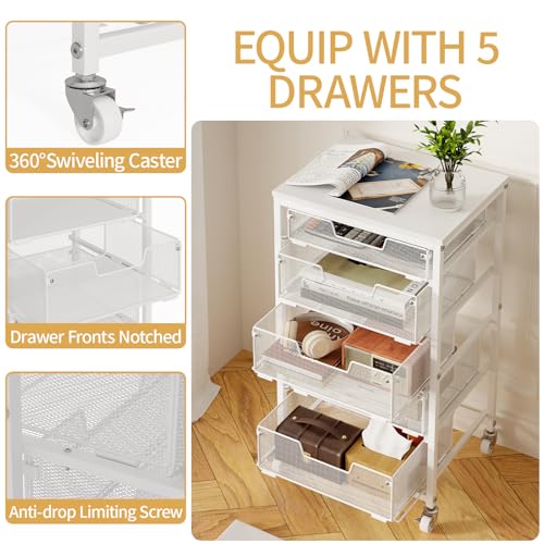 Sbanmao 5-Drawer Rolling Storage Cart with Lockable Wheels
