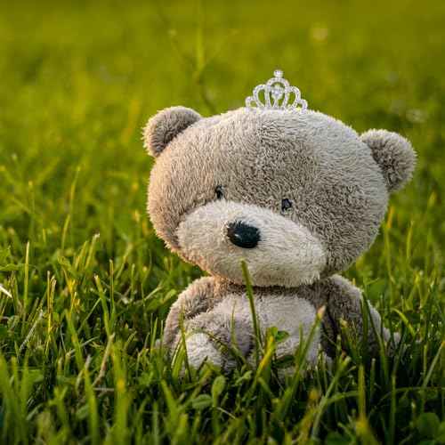 4pcs Crown with Blingbling Crown Hair Clip, 01-Silver