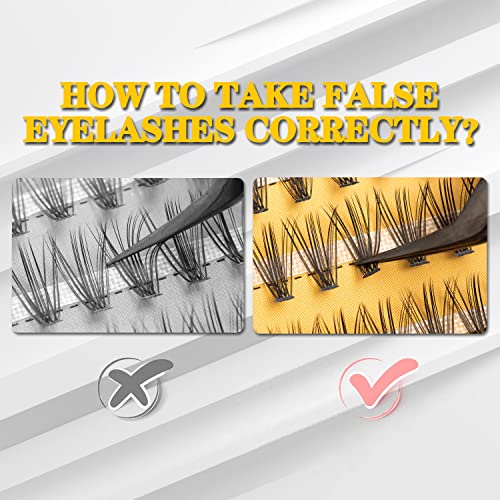 20D Lash Clusters 240pcs Individual Extensions 8-12mm C Curl