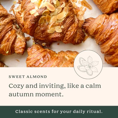 SoF Sweet Almond Foaming Hand Wash 8oz Pack of 3 - Hydrating, Vegan, Coconut & Agave Nectar