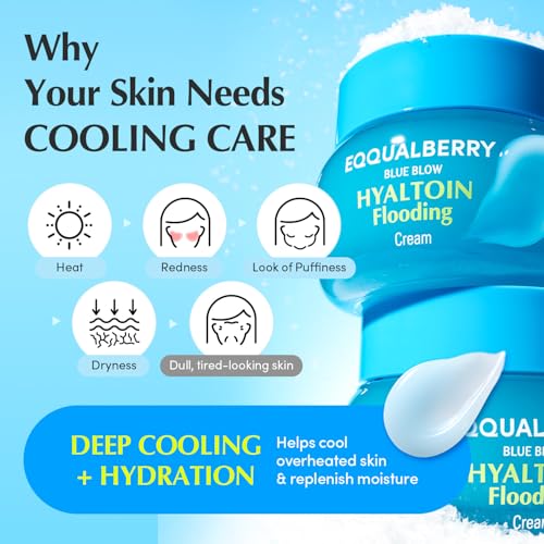 EQQUALBERRY Hyaluronic Acid & Glacier Water Hydrating Gel Cream 50ml