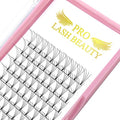 4D Premade Fan Eyelash Extensions 0.10 12mm C Curl
