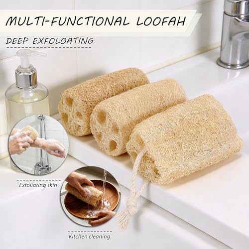 Natural Loofah Sponge 6 Pack - Organic Body Exfoliator
