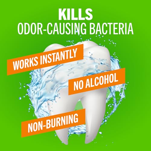 TheraBreath Fresh Breath Mouthwash - Mild Mint, Alcohol-Free, 16 Fl Oz (2-Pack)