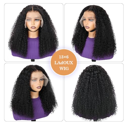 Ladoux 13x6 Kinky Curly Lace Front Wig - 180% Density, 14 Inch