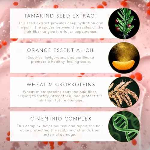 Rene Furterer TONUCIA Replumping Shampoo - For Thin, Weakened Hair Due to Aging - Redensify & Revitalize - Silicone-Free - Travel-Size