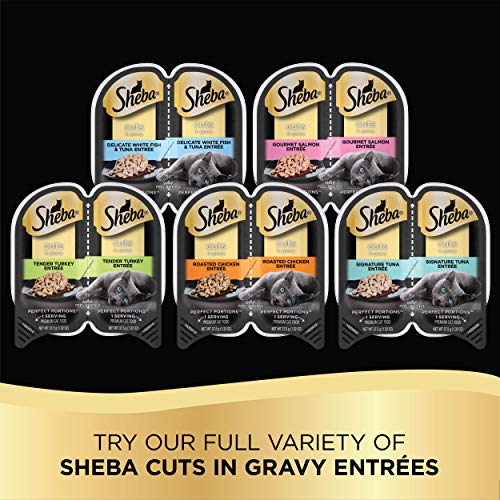 SHEBA PERFECT PORTIONS Cuts in Gravy Adult Wet Cat Food Trays (24 Count, 48 Servings), Gourmet Salmon Entrée, Easy Peel Twin-Pack Trays