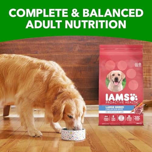 IAMS Large Breed Adult Dry Dog Food Lamb & Rice Recipe, 15 lb. Bag