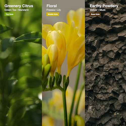 Mellow Cream Hair Treatment 150 ml ? Leave-In Conditioner for Deep Moisture & Damage Repair, Instant Results on Dry, Frizzy, and Color-Treated Hair