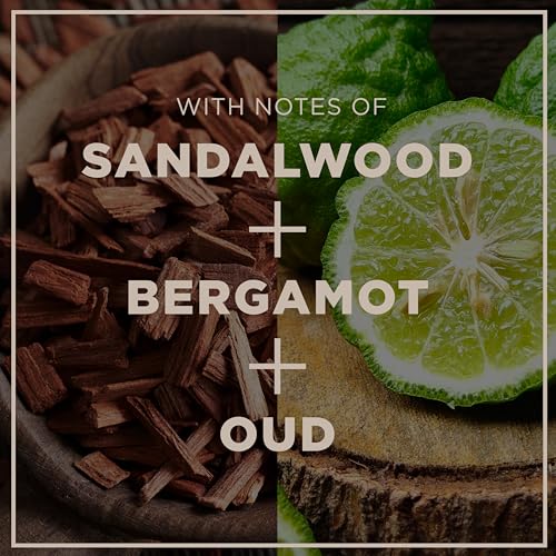 CHI Pour Homme Beard Oil for Men, Softens & Smooths Facial Hair, Moisturizes Skin, Promotes Healthy Growth with Aloe Vera & Nettle, Fresh Woody Scent, 2 oz