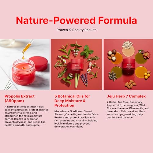 Korean Skincare Propolis Honey Lip Sleeping Mask ? Nourishing Overnight Lip Treatment for Dry & Chapped Lips, K-Beauty Hydrating Lip Balm with Propolis Extract, Repairs & Softens Lips (20g)
