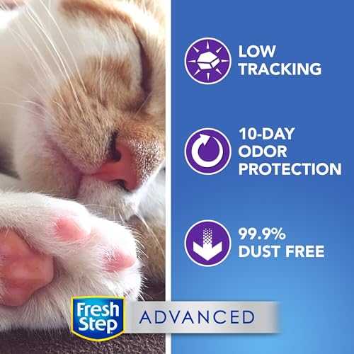 Fresh Step Clumping Cat Litter, Advanced, Clean Paws Multi-Cat, Extra Large, 37 Pounds total (2 Pack of 18.5lb Boxes)