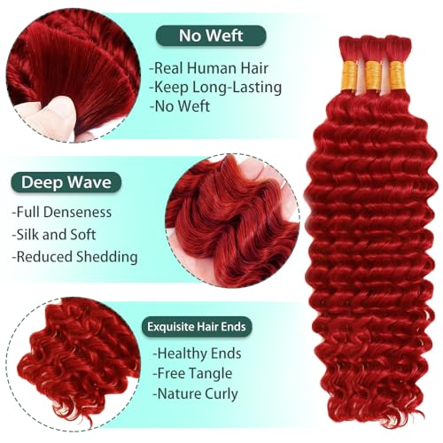 Bulk Red Boho Deep Wave Human Hair Extensions - 24 Inch Brazilian Braiding Hair, 3 Bundles