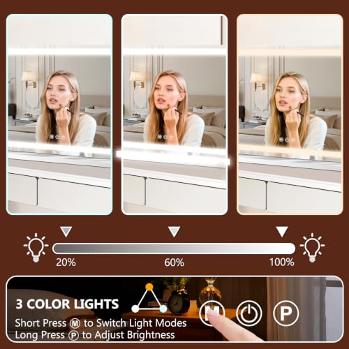 23" x 18" Lighted Vanity Mirror with 3 Color Dimmable LED