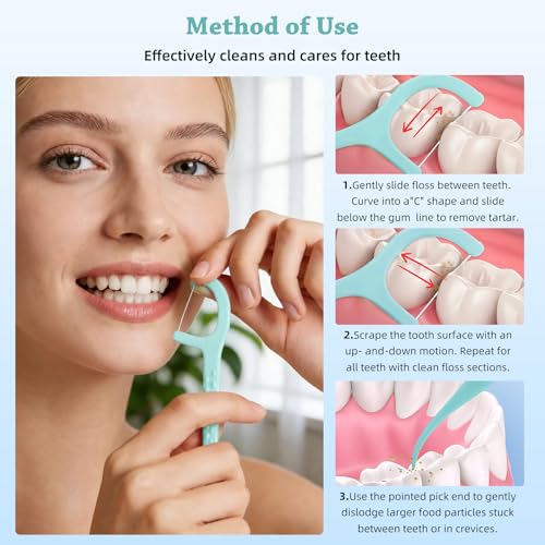 KSIA Dental Floss Picks, 480 Count with 8 Portable Cases