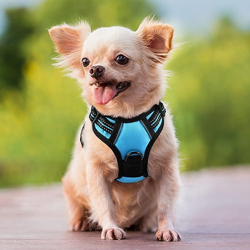 rabbitgoo Dog Harness, No-Pull Pet Harness with 2 Leash Clips, Adjustable Soft Padded Dog Vest, Reflective No-Choke Pet Oxford Vest with Easy Control Handle for Small Dogs, Blue, XS