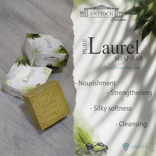 Anatolia Soap Antioch Collection Laurel Oil Shampoo Bar 5 oz ? Handmade Soap, Olive Oil Based Solid Shampoo for Dry Hair, Traditional Castile Bar for Women & Men