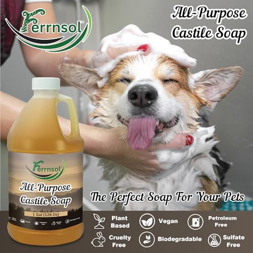AP Castile Soap Liquid (1 Gallon) ? Unscented, Fragrance-Free, Refill ? Natural All-Purpose Soap for Home, Hands, and More ? Gentle, Non-Toxic formula ? 128oz - Made in USA