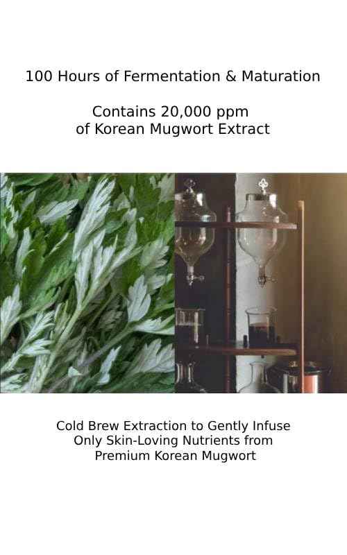 CHARMZONE Mugwort Cream The Original 1.69oz – Deep Hydration & Soothing Moisturizer for Healthy Skin