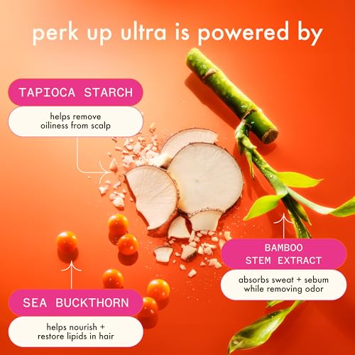 Amika Perk Up Ultra Oil Control Dry Shampoo 5.3 oz