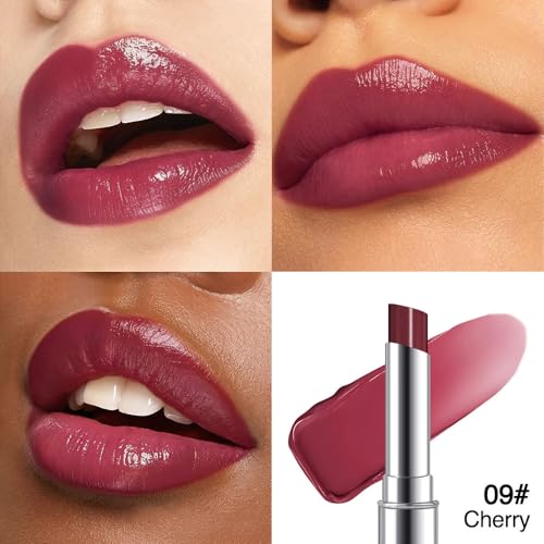 HHLTOH Cherry Wine Red Tinted Lip Balm A-09# 1 Pack Hydrating Lip Oil Stick